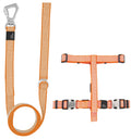 Escapade Outdoor 2-in-1 Convertible Dog Leash and Harness