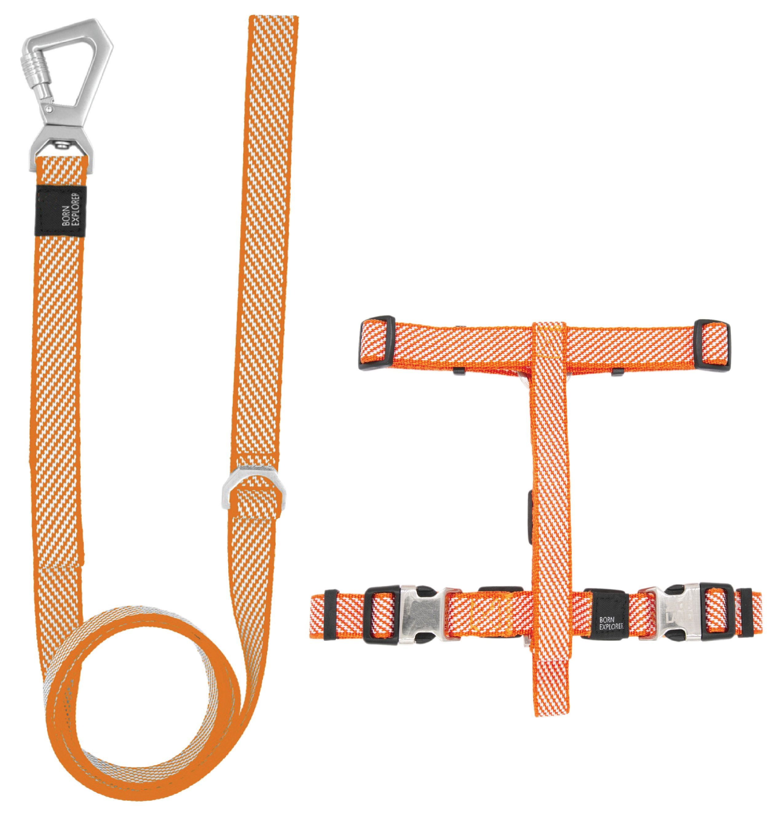 Escapade Outdoor 2-in-1 Convertible Dog Leash and Harness