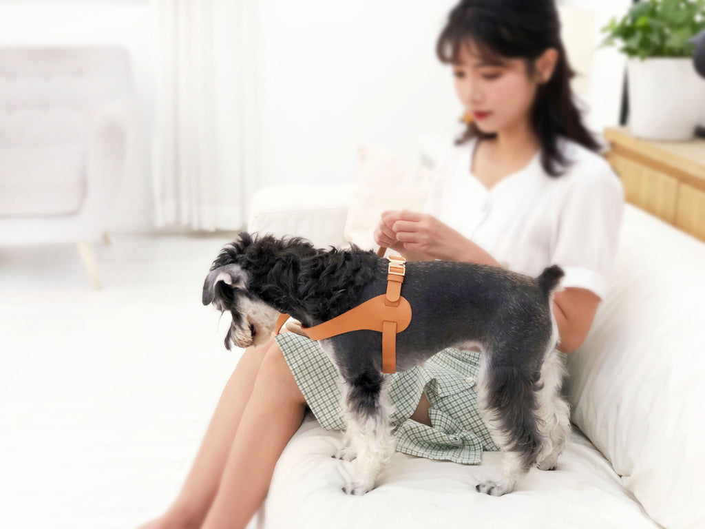 Ever-Craft Boutique Adjustable Designer Leather Dog Harness