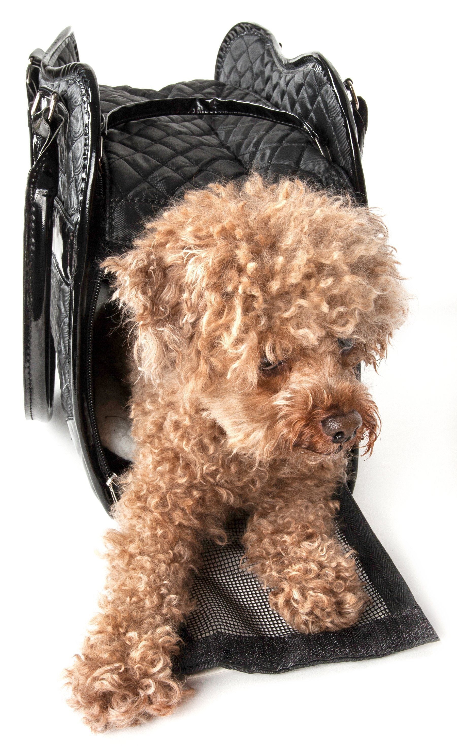 Exquisite Airline Approved Designer Travel Pet Dog Handbag Carrier