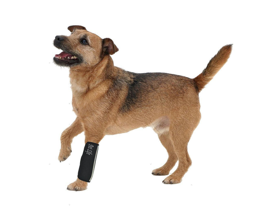Extreme-Neoprene Joint Protective Safety Recovery Reflective Dog Sleeves – Set of 4