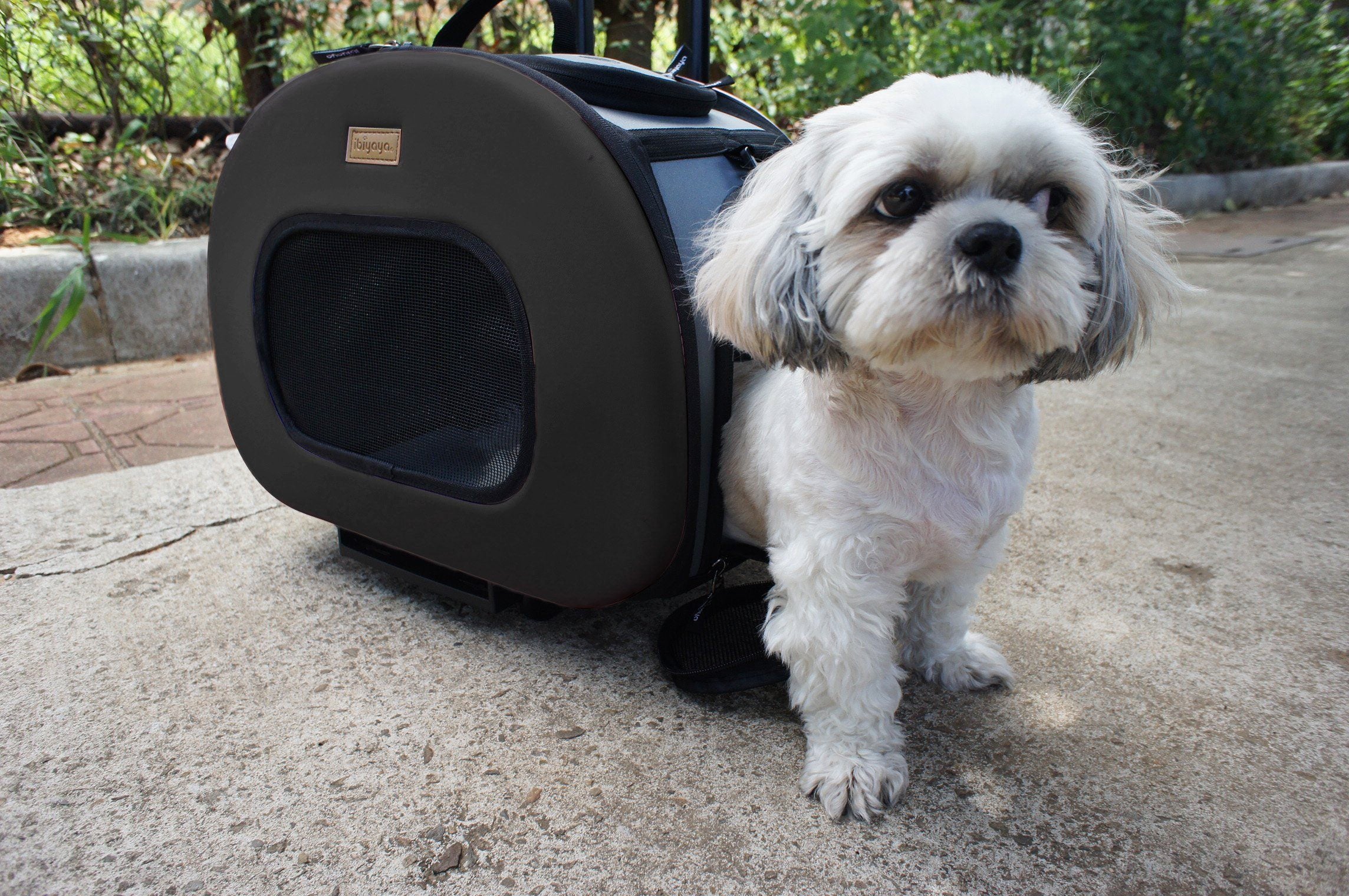Final Destination Airline Approved 2-in-1 Tough-Shell Wheeled Travel Dog Carrier Crate