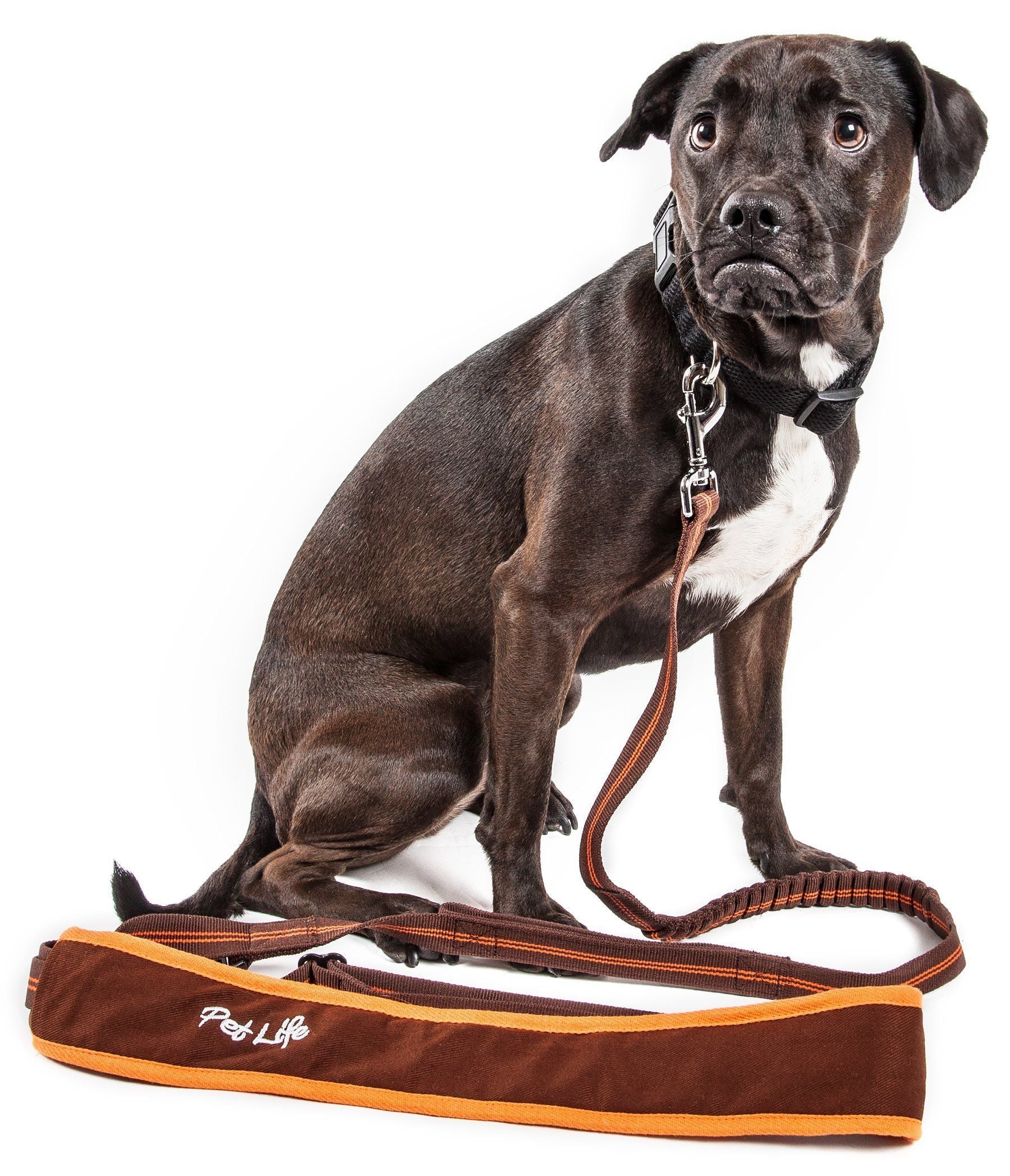 Free-Fetcher Hands-Free Over-The-Shoulder Shock Absorbent Dog Leash