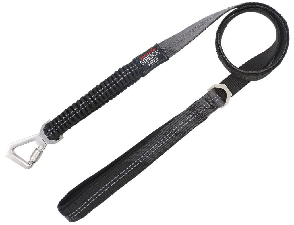 Geo-prene 2-in-1 Shock Absorbing Neoprene Reflective Dog Leash and Harness
