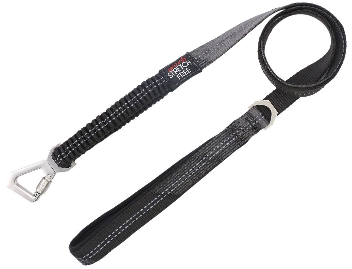 Geo-prene 2-in-1 Shock Absorbing Neoprene Reflective Dog Leash and Harness