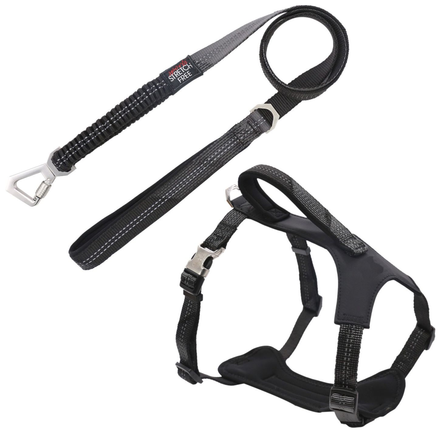 Geo-prene 2-in-1 Shock Absorbing Neoprene Reflective Dog Leash and Harness