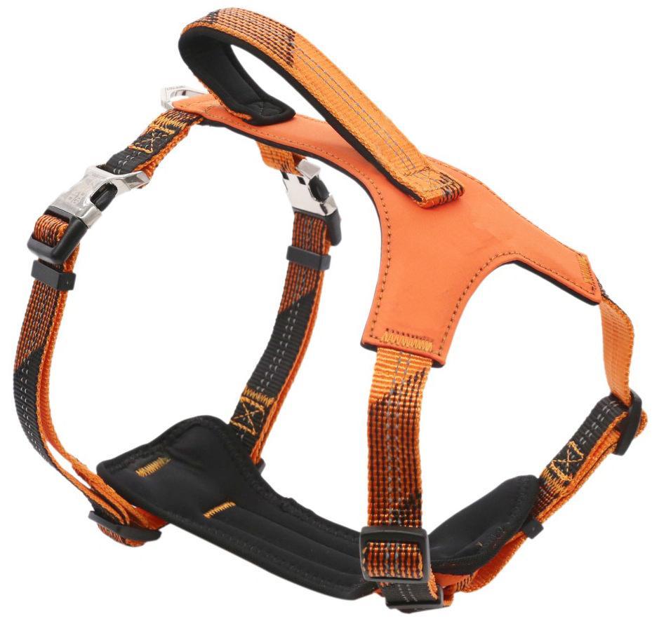 Geo-prene 2-in-1 Shock Absorbing Neoprene Reflective Dog Leash and Harness