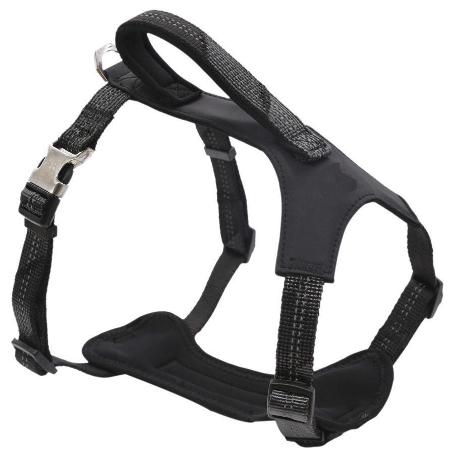 Geo-prene 2-in-1 Shock Absorbing Neoprene Reflective Dog Leash and Harness