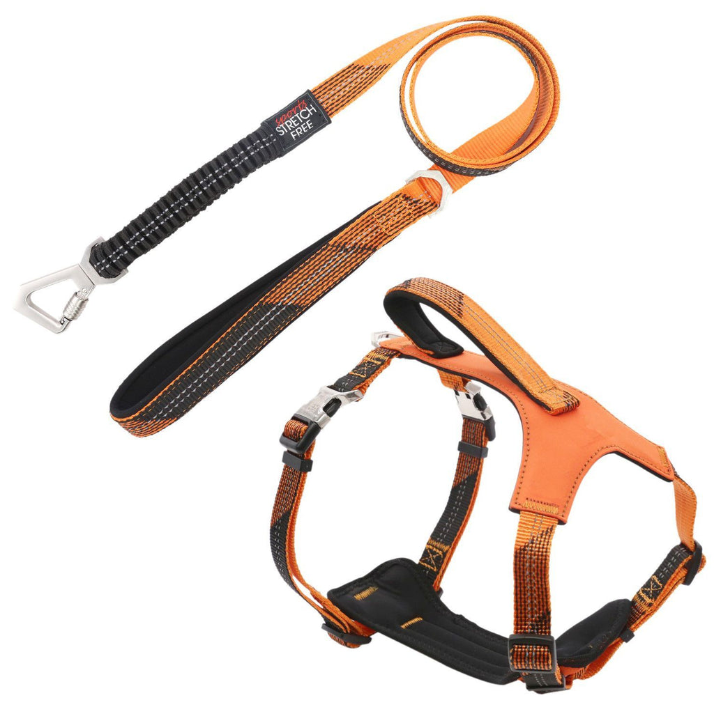 Geo-prene 2-in-1 Shock Absorbing Neoprene Reflective Dog Leash and Harness