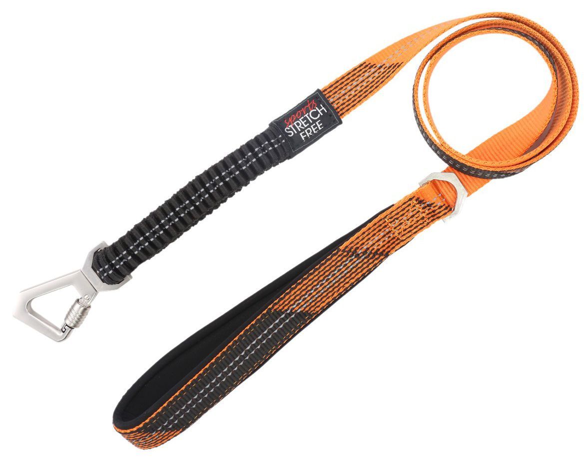 Geo-prene 2-in-1 Shock Absorbing Neoprene Reflective Dog Leash and Harness