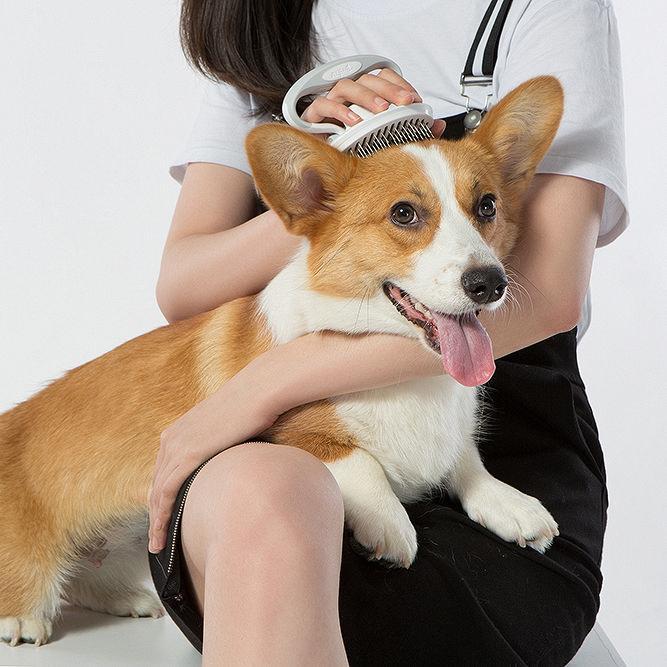 Gyrater Travel Swivel Pet Grooming Pin Brush