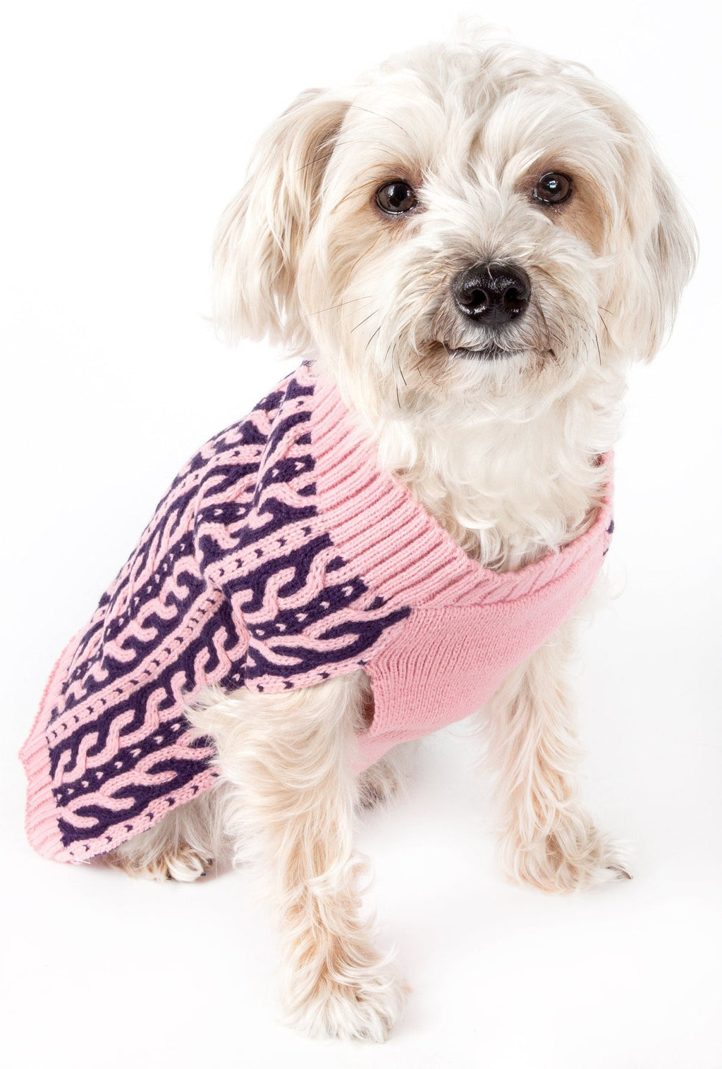 Harmonious Dual Color Weaved Heavy Cable Knitted Designer Dog Sweater