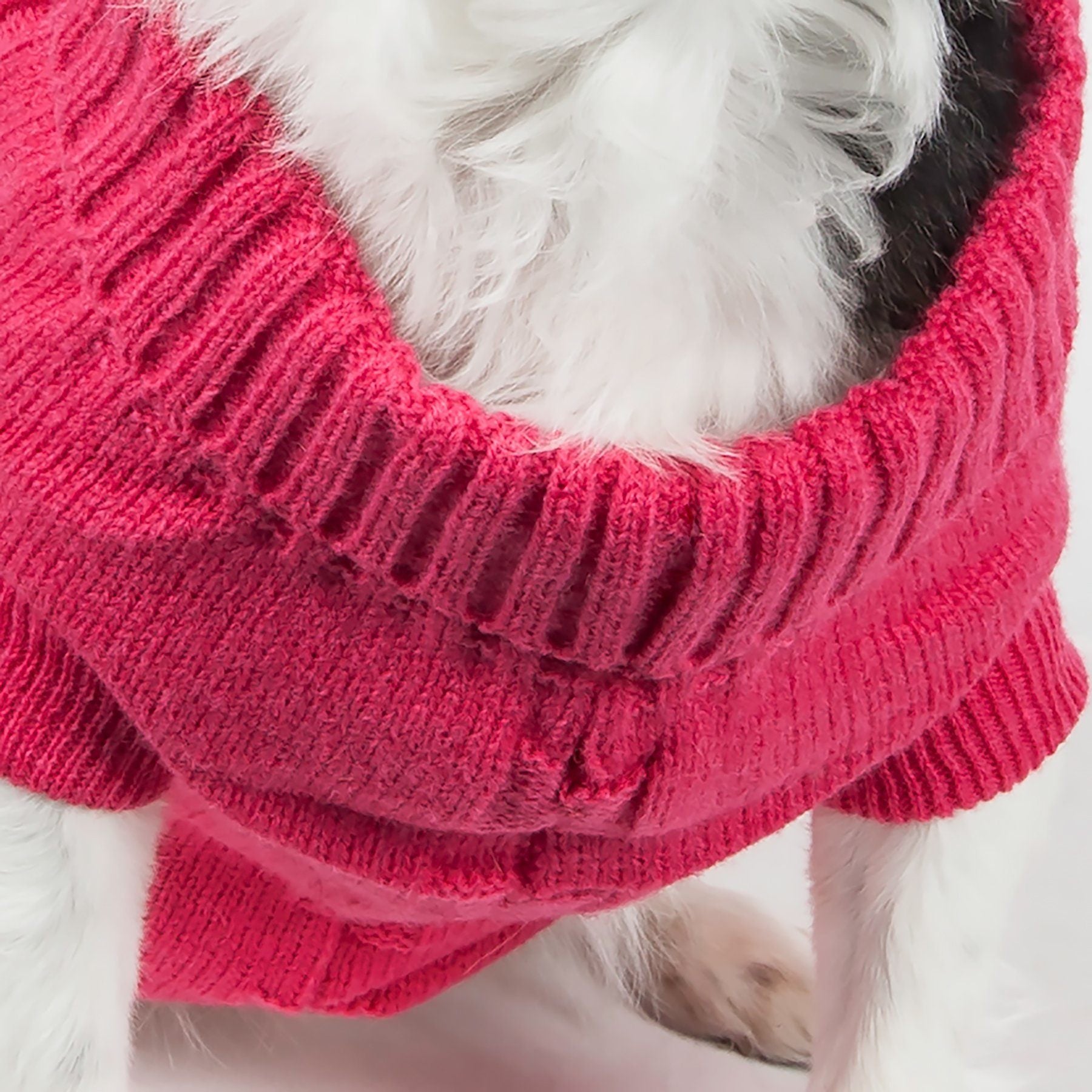 Heavy Cotton Rib-Collared Fashion Dog Sweater