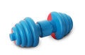 Iron Wag Durable Chew and Fetch TPR Waterproof Floating Dog Toy