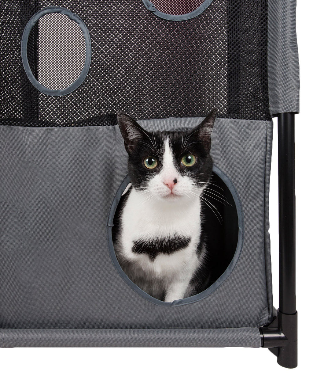 Kitty-Square Collapsible Travel Interactive Cat Tree Maze House Lounger