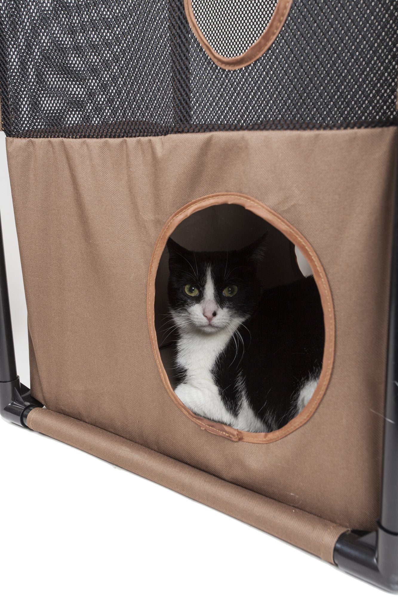 Kitty-Square Collapsible Travel Interactive Cat Tree Maze House Lounger
