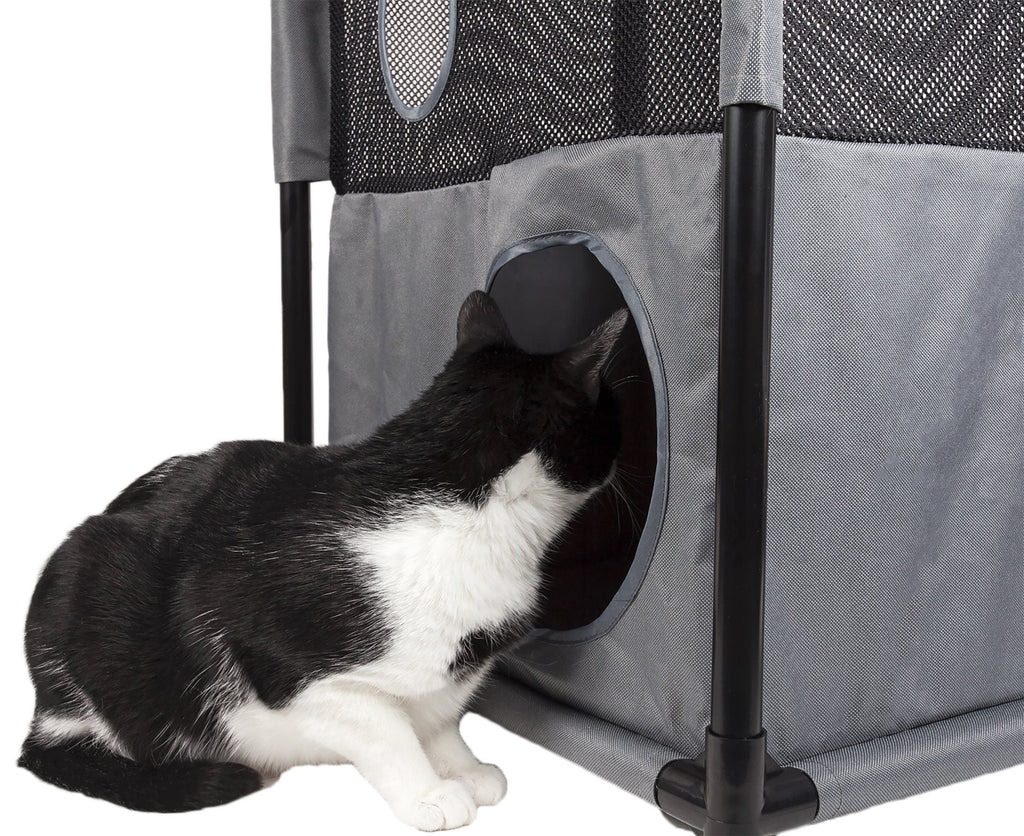 Kitty-Square Collapsible Travel Interactive Cat Tree Maze House Lounger