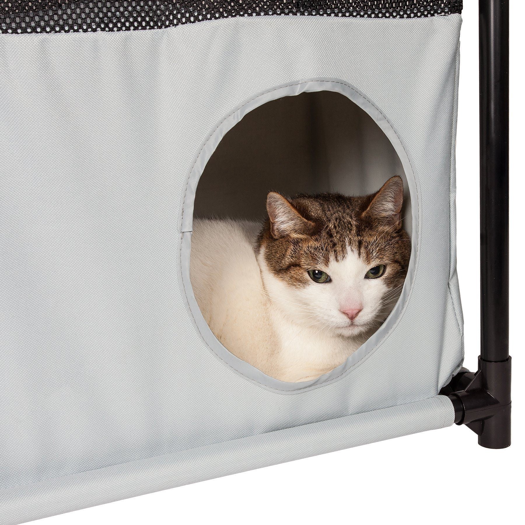 Kitty-Square Collapsible Travel Interactive Cat Tree Maze House Lounger