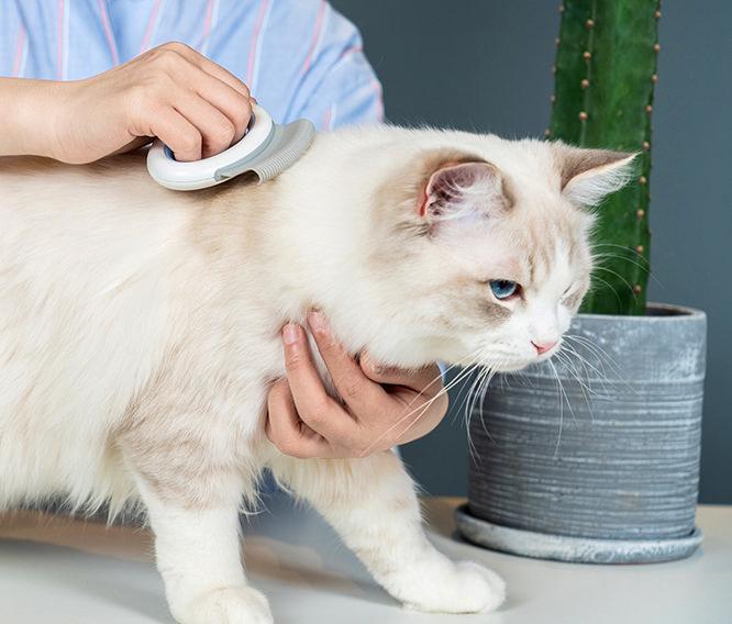 Knuckler Handheld Travel Flexible Grooming Pet Rake Comb
