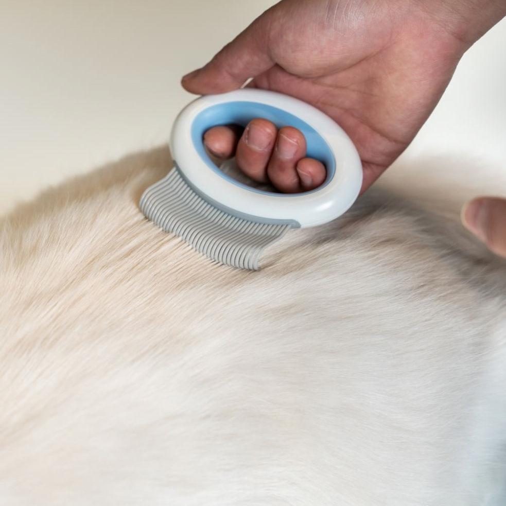 Knuckler Handheld Travel Flexible Grooming Pet Rake Comb