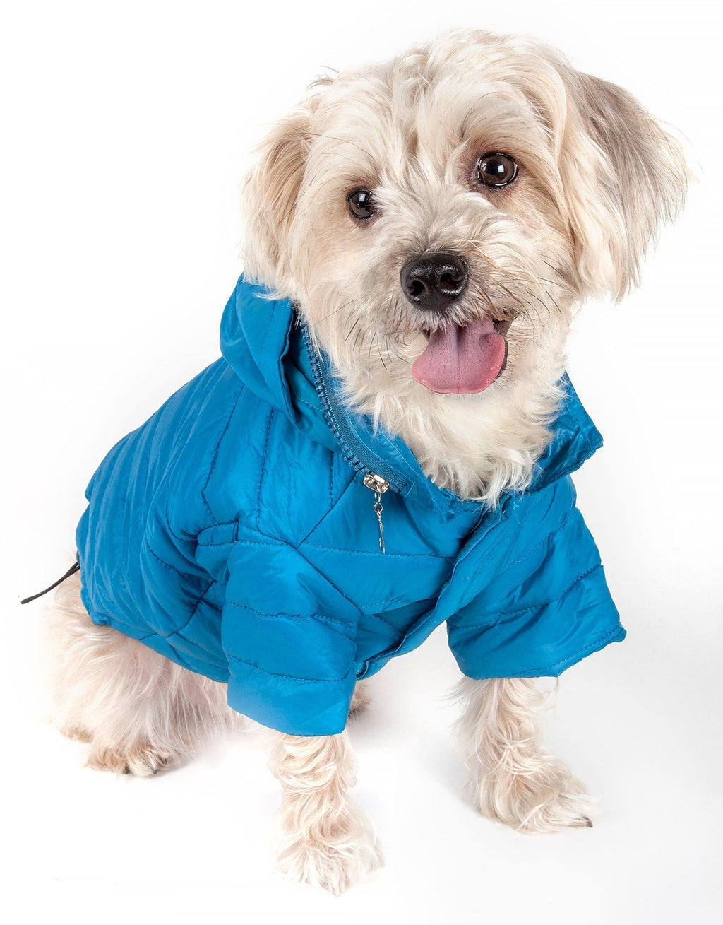 Lightweight Adjustable Collapsible Sporty Avalanche Dog Coat with Pop-Out Zippered Hood