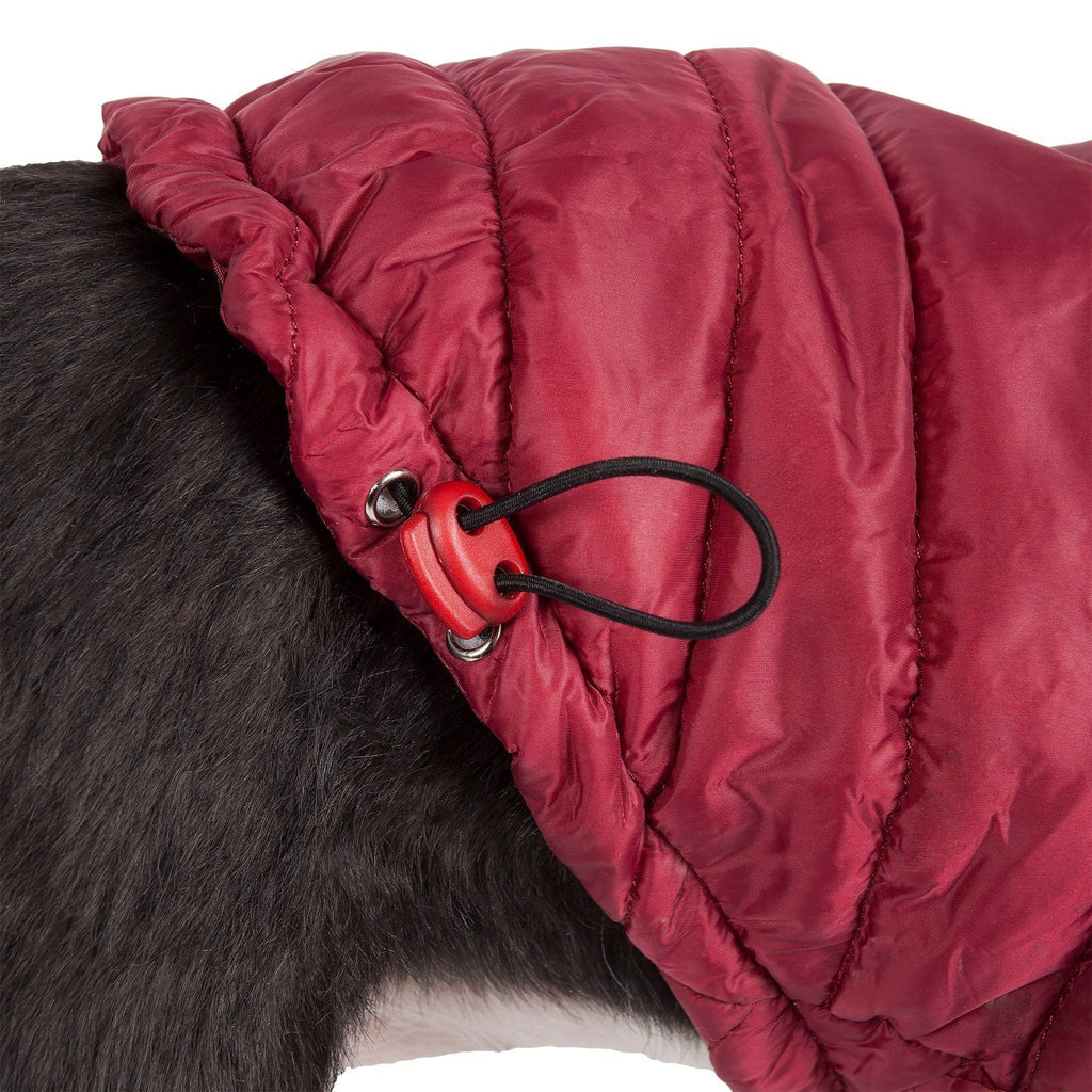 Lightweight Adjustable Collapsible Sporty Avalanche Dog Coat with Pop-Out Zippered Hood