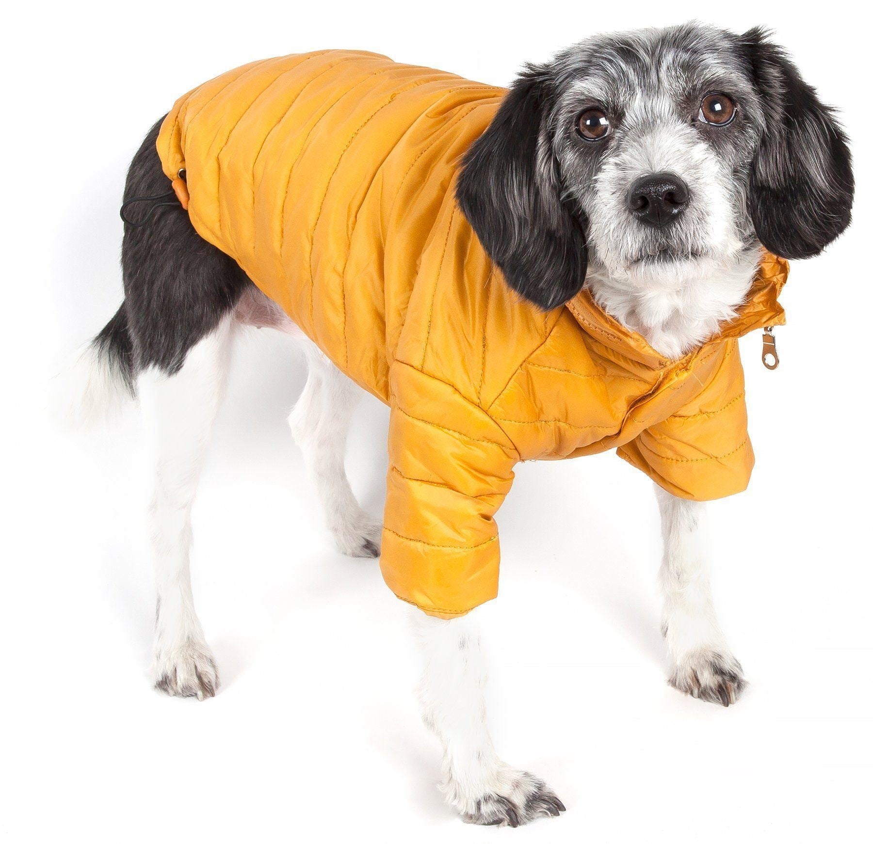 Lightweight Adjustable Collapsible Sporty Avalanche Dog Coat with Pop-Out Zippered Hood