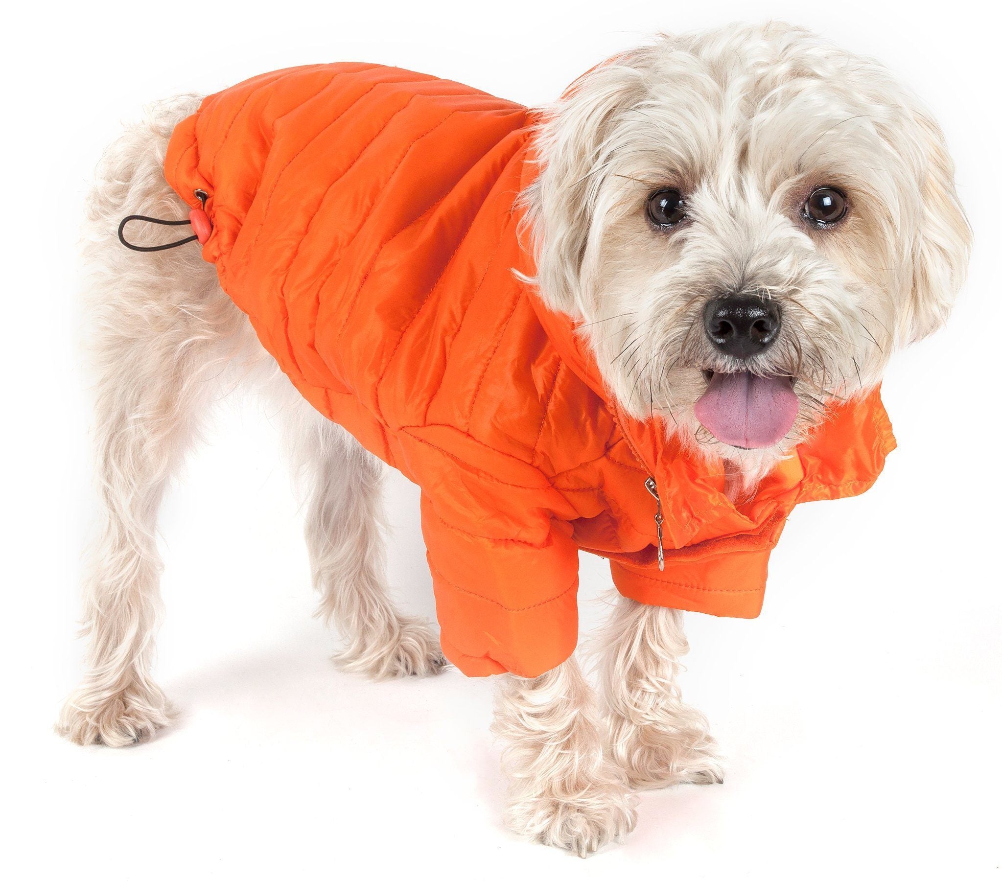 Lightweight Adjustable Collapsible Sporty Avalanche Dog Coat with Pop-Out Zippered Hood