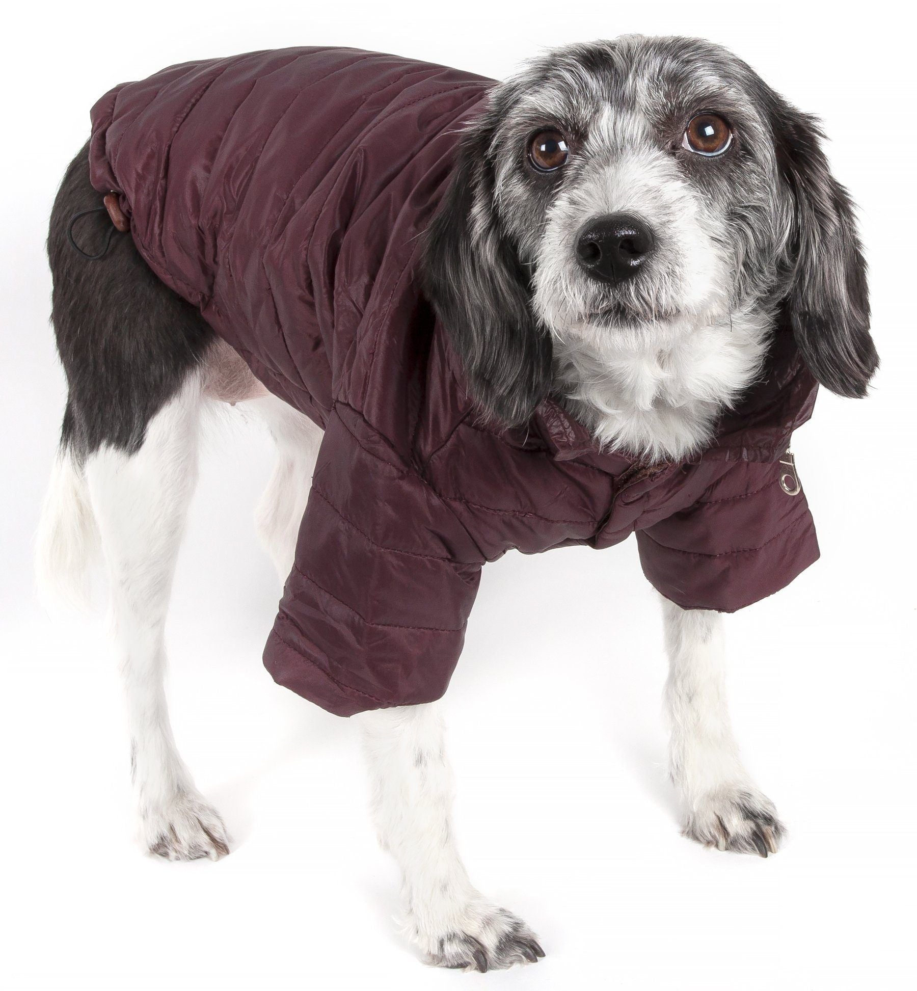 Lightweight Adjustable Collapsible Sporty Avalanche Dog Coat with Pop-Out Zippered Hood