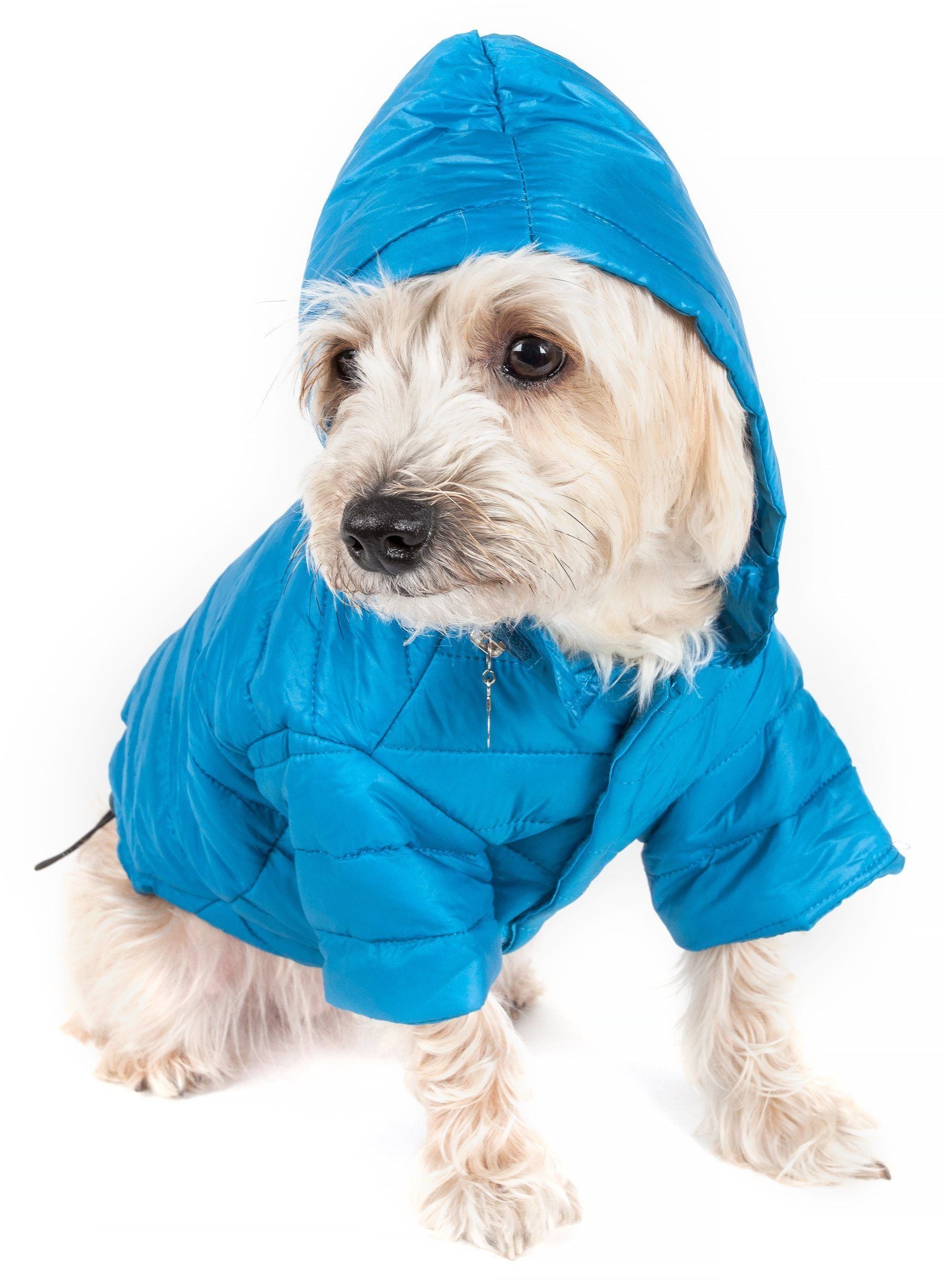 Lightweight Adjustable Collapsible Sporty Avalanche Dog Coat with Pop-Out Zippered Hood