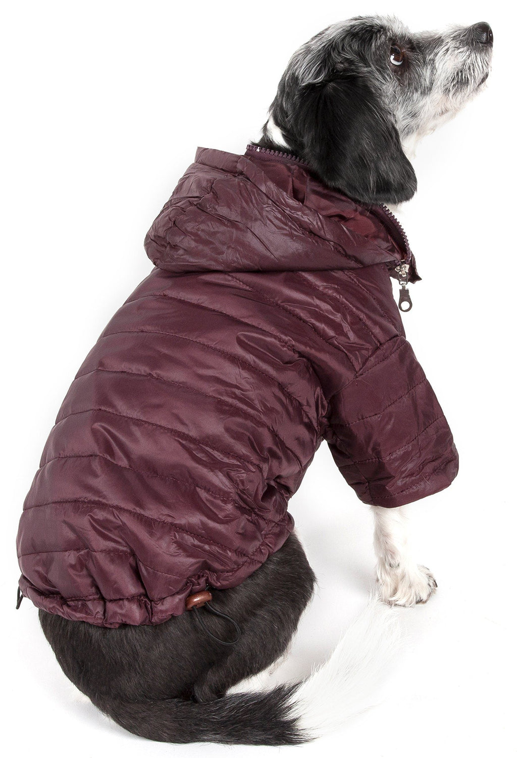 Lightweight Adjustable Collapsible Sporty Avalanche Dog Coat with Pop-Out Zippered Hood