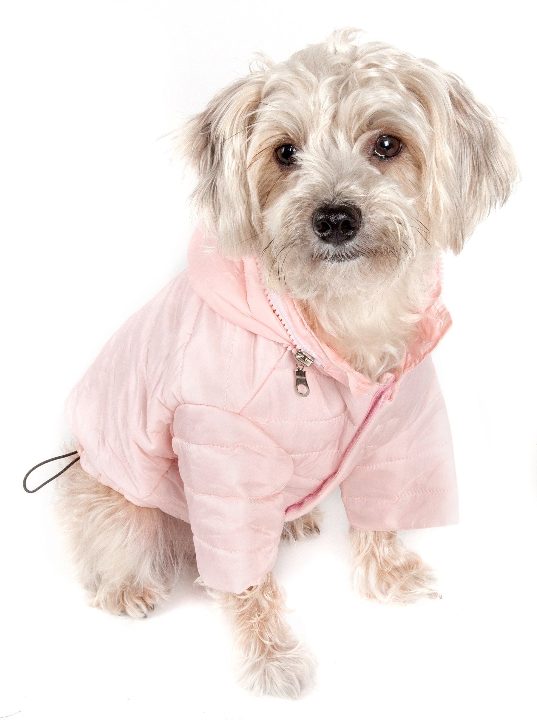 Lightweight Adjustable Collapsible Sporty Avalanche Dog Coat with Pop-Out Zippered Hood