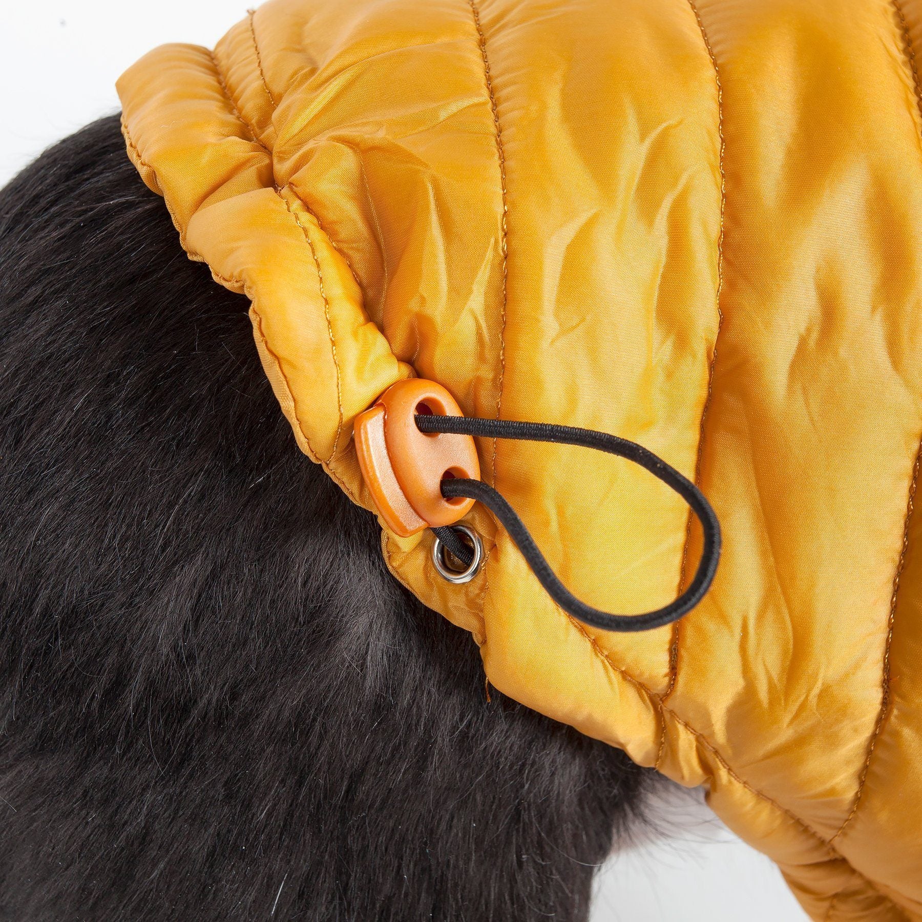 Lightweight Adjustable Collapsible Sporty Avalanche Dog Coat with Pop-Out Zippered Hood