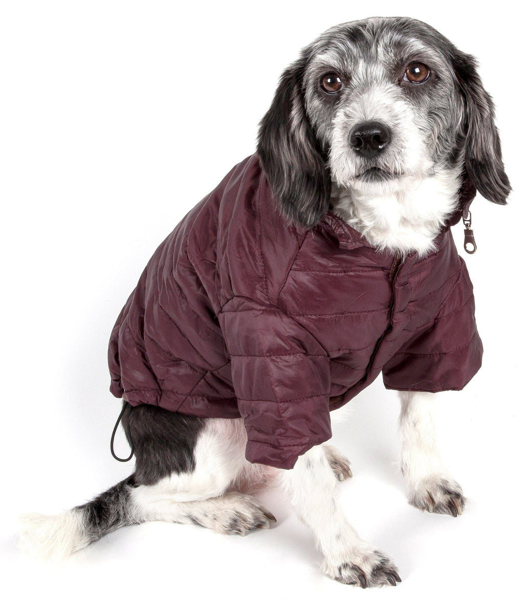 Lightweight Adjustable Collapsible Sporty Avalanche Dog Coat with Pop-Out Zippered Hood