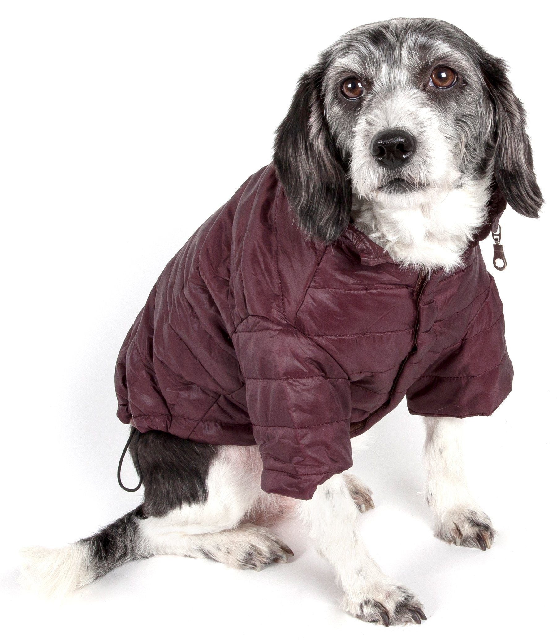 Lightweight Adjustable Collapsible Sporty Avalanche Dog Coat with Pop-Out Zippered Hood