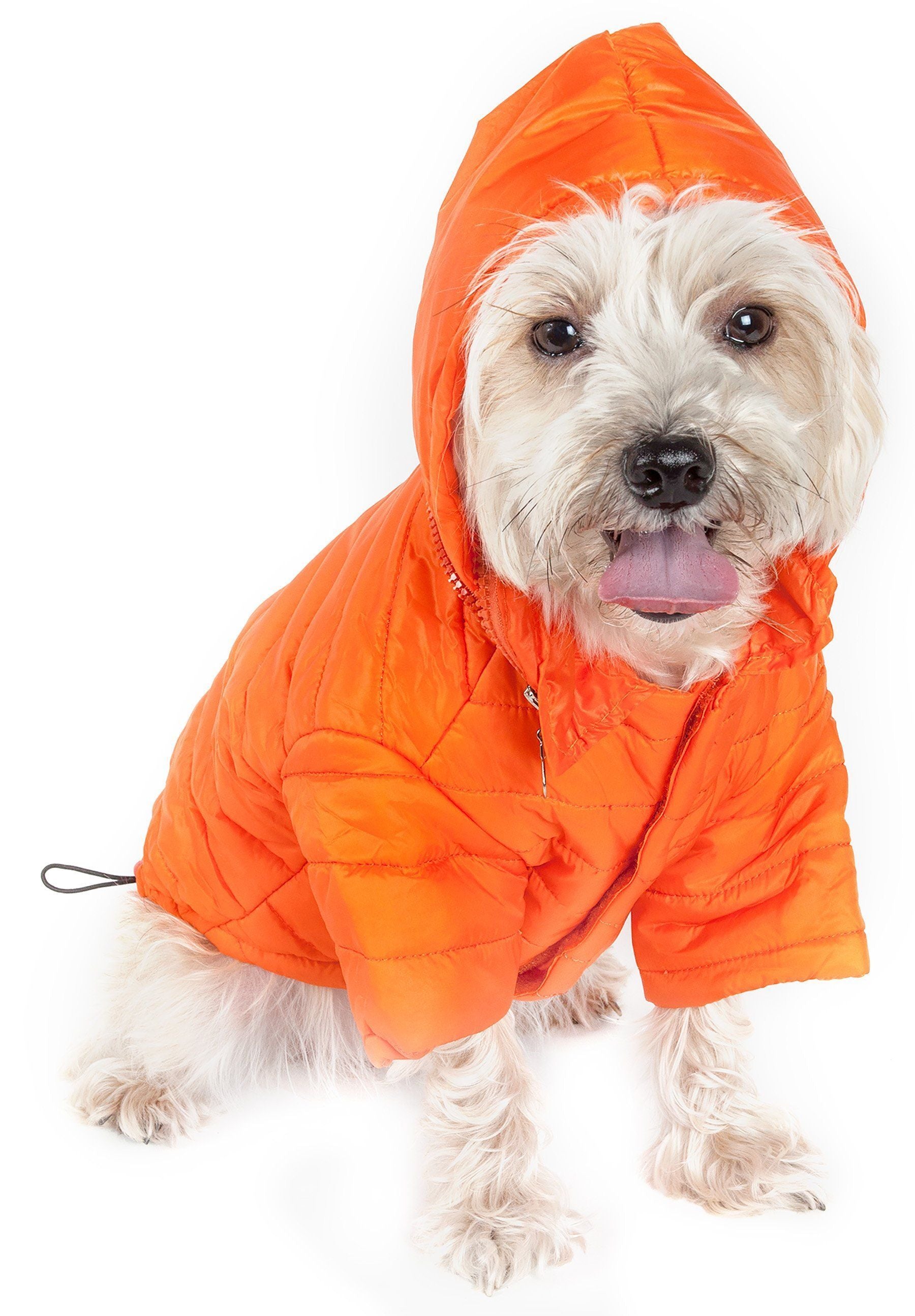 Lightweight Adjustable Collapsible Sporty Avalanche Dog Coat with Pop-Out Zippered Hood