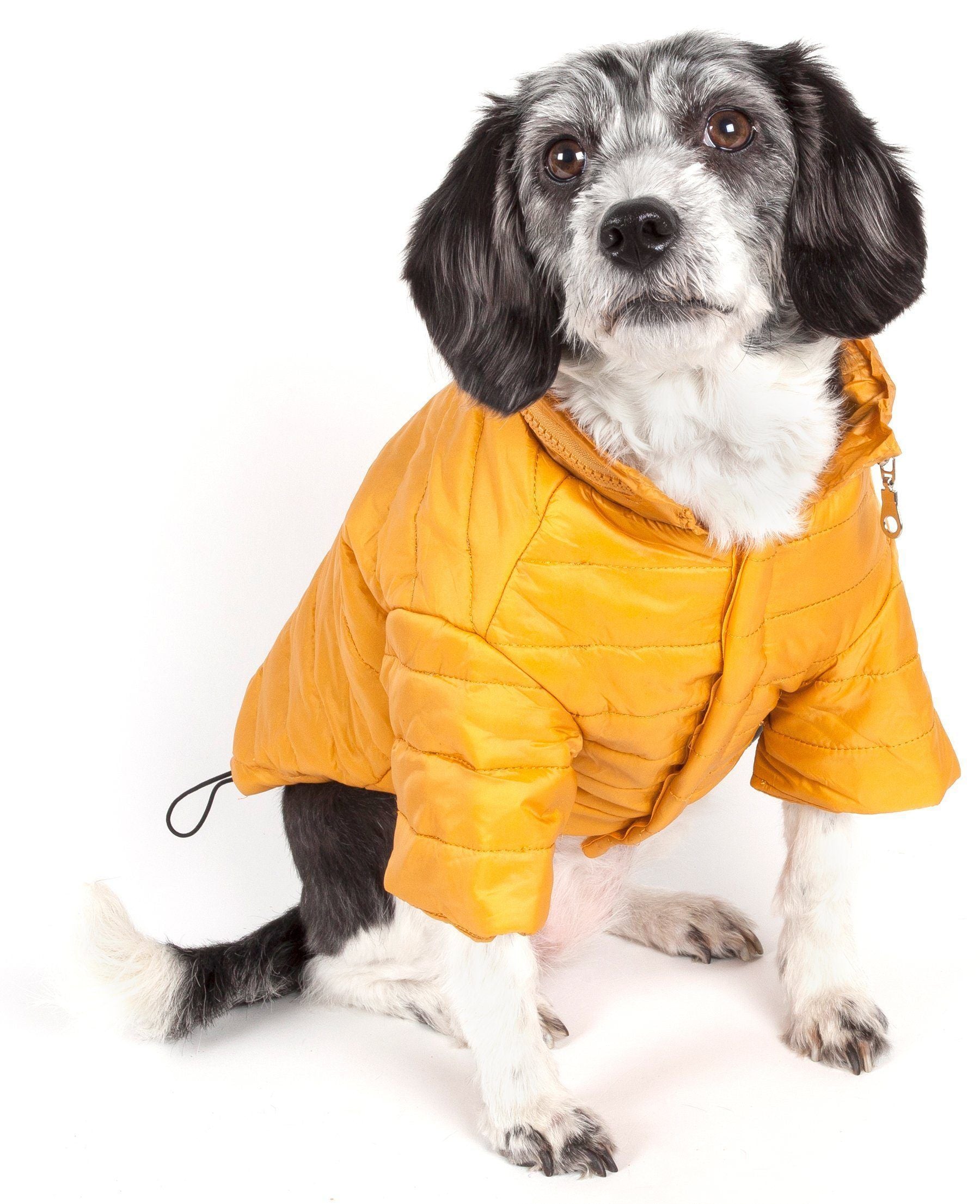 Lightweight Adjustable Collapsible Sporty Avalanche Dog Coat with Pop-Out Zippered Hood