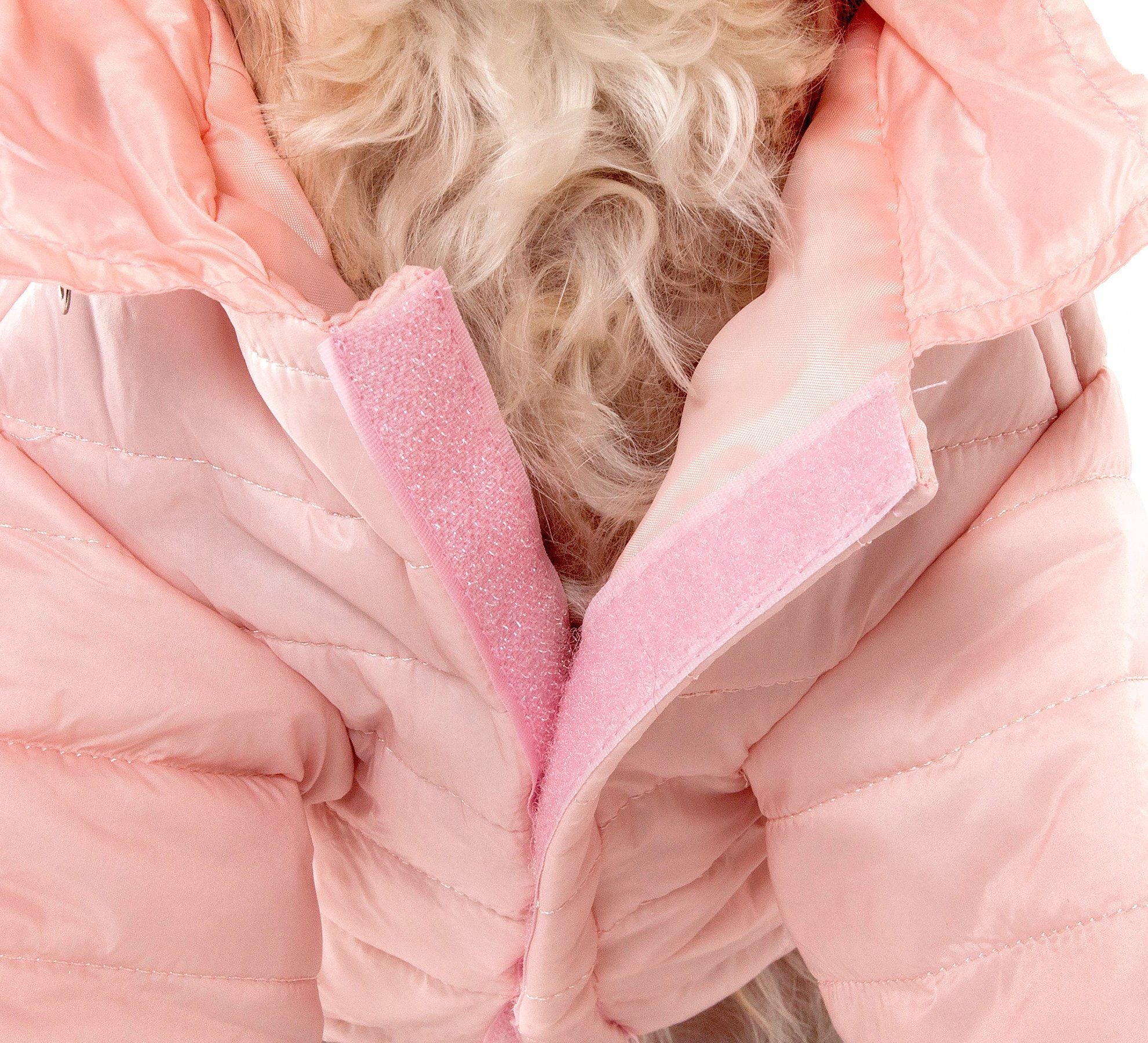 Lightweight Adjustable Collapsible Sporty Avalanche Dog Coat with Pop-Out Zippered Hood