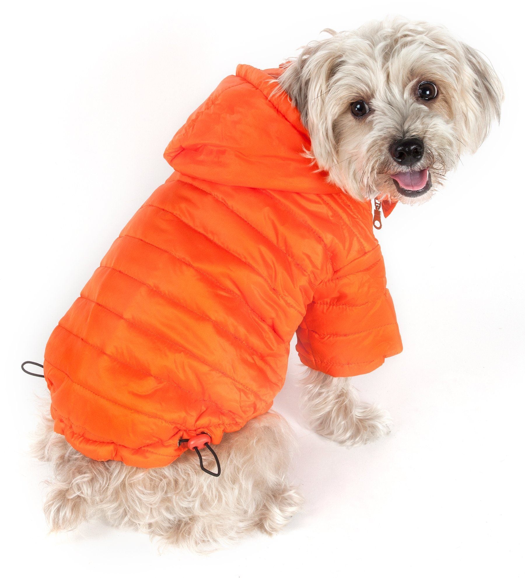 Lightweight Adjustable Collapsible Sporty Avalanche Dog Coat with Pop-Out Zippered Hood