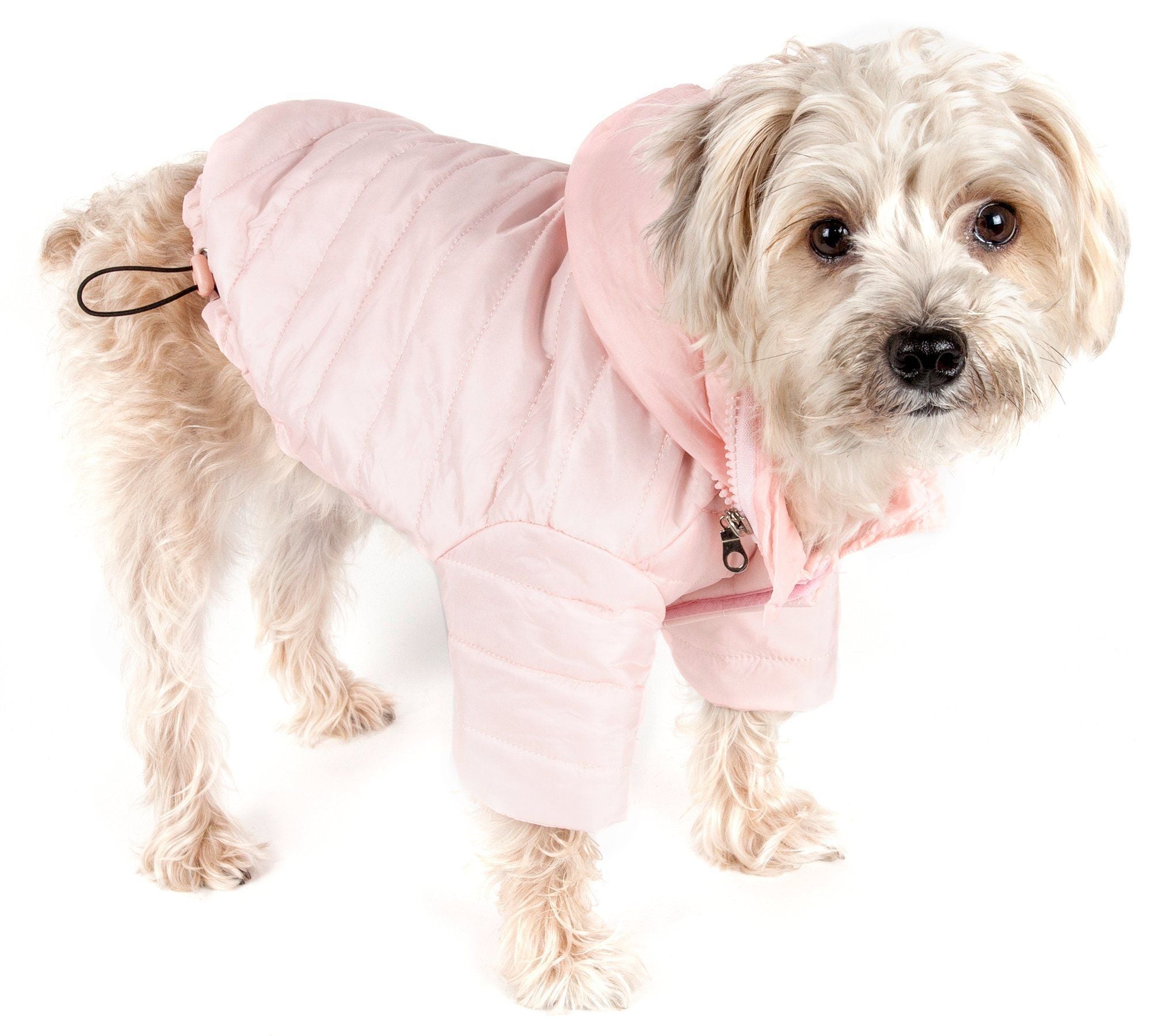 Lightweight Adjustable Collapsible Sporty Avalanche Dog Coat with Pop-Out Zippered Hood
