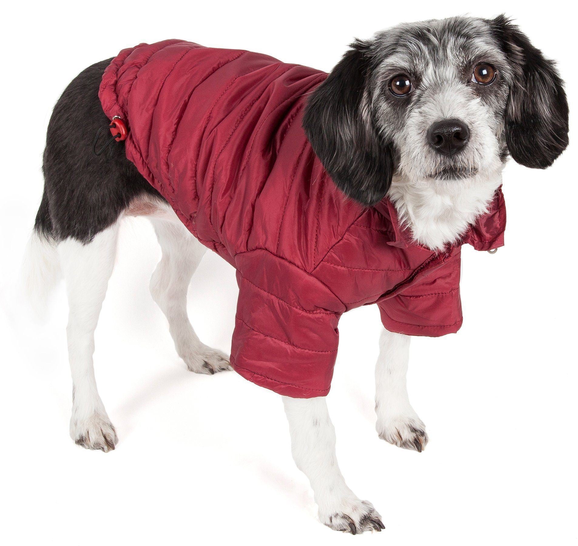 Lightweight Adjustable Collapsible Sporty Avalanche Dog Coat with Pop-Out Zippered Hood