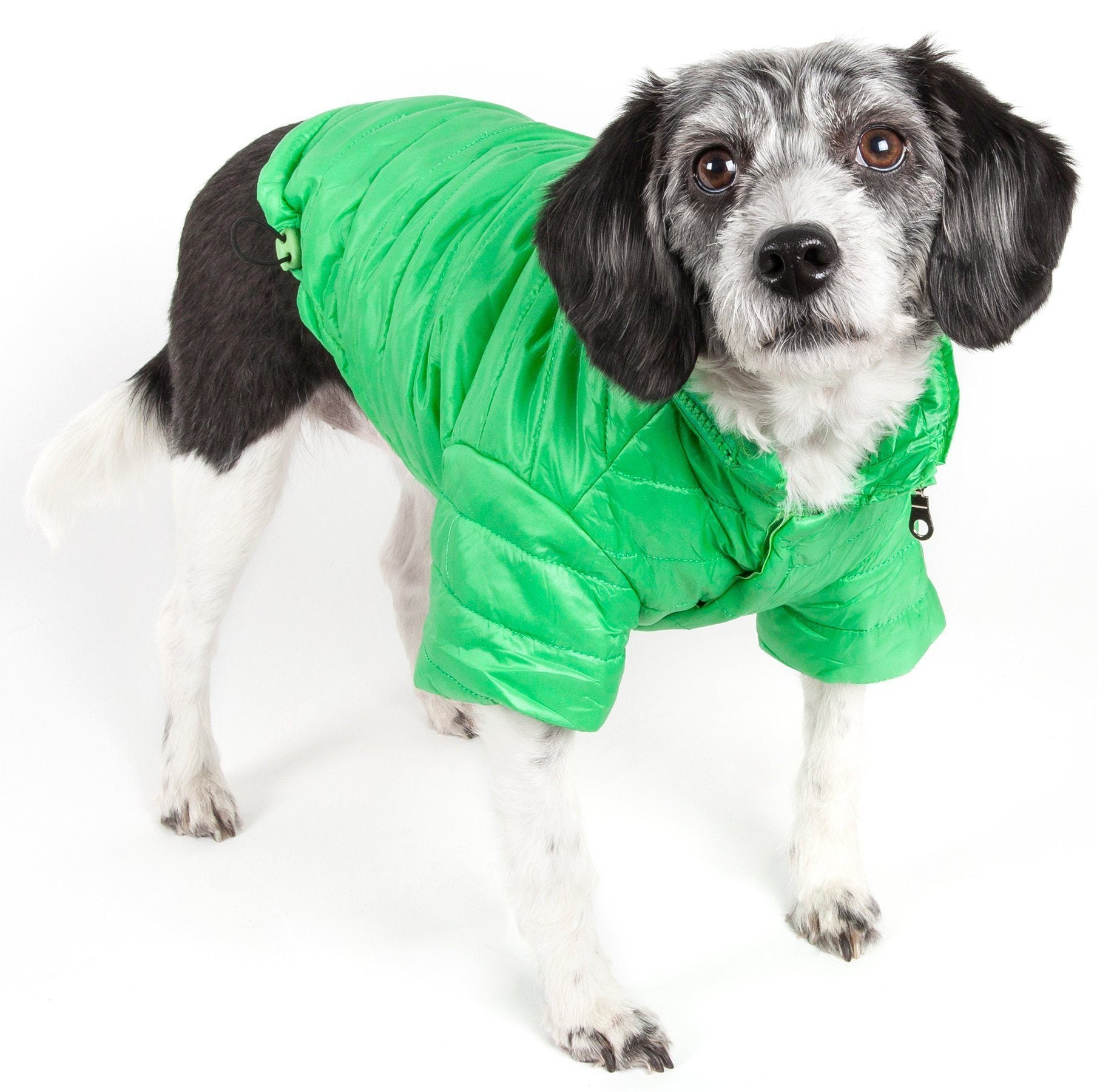 Lightweight Adjustable Collapsible Sporty Avalanche Dog Coat with Pop-Out Zippered Hood