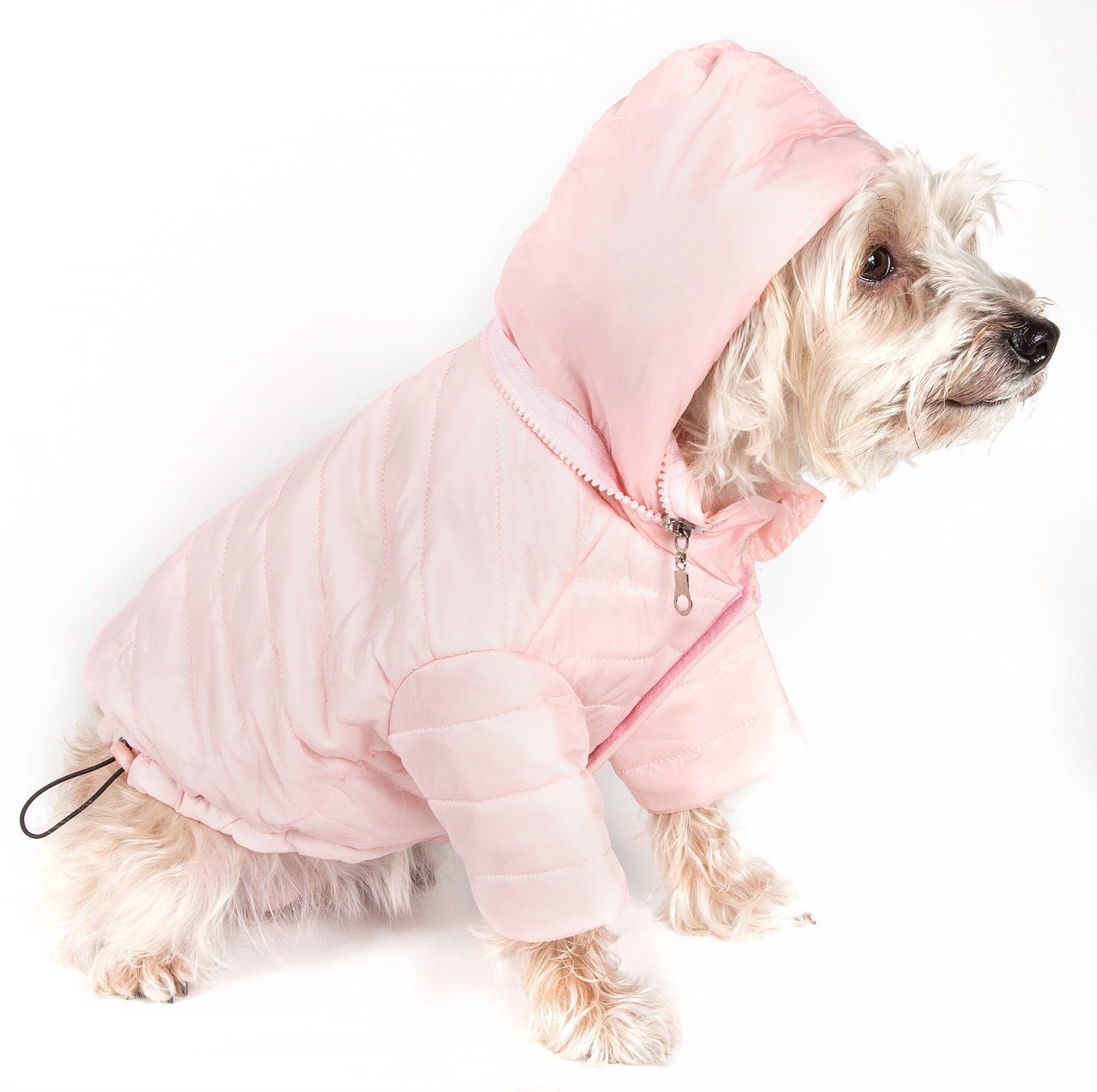 Lightweight Adjustable Collapsible Sporty Avalanche Dog Coat with Pop-Out Zippered Hood
