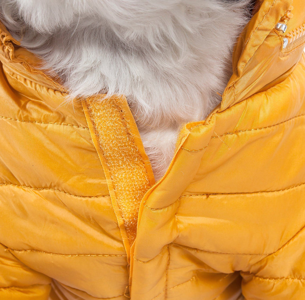 Lightweight Adjustable Collapsible Sporty Avalanche Dog Coat with Pop-Out Zippered Hood