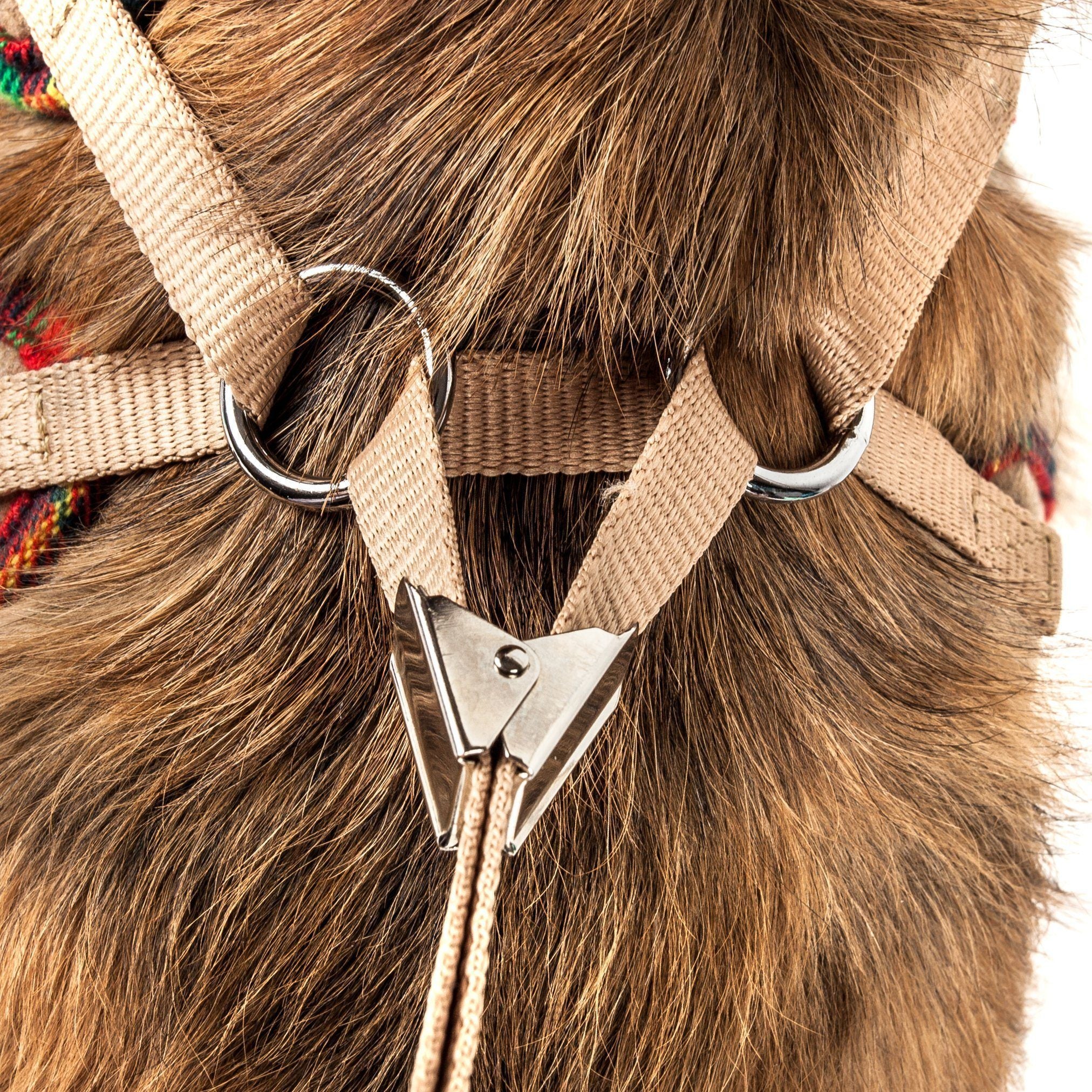 Luxe Dapperbone 2-in-1 Adjustable Fashion Dog Harness and Leash
