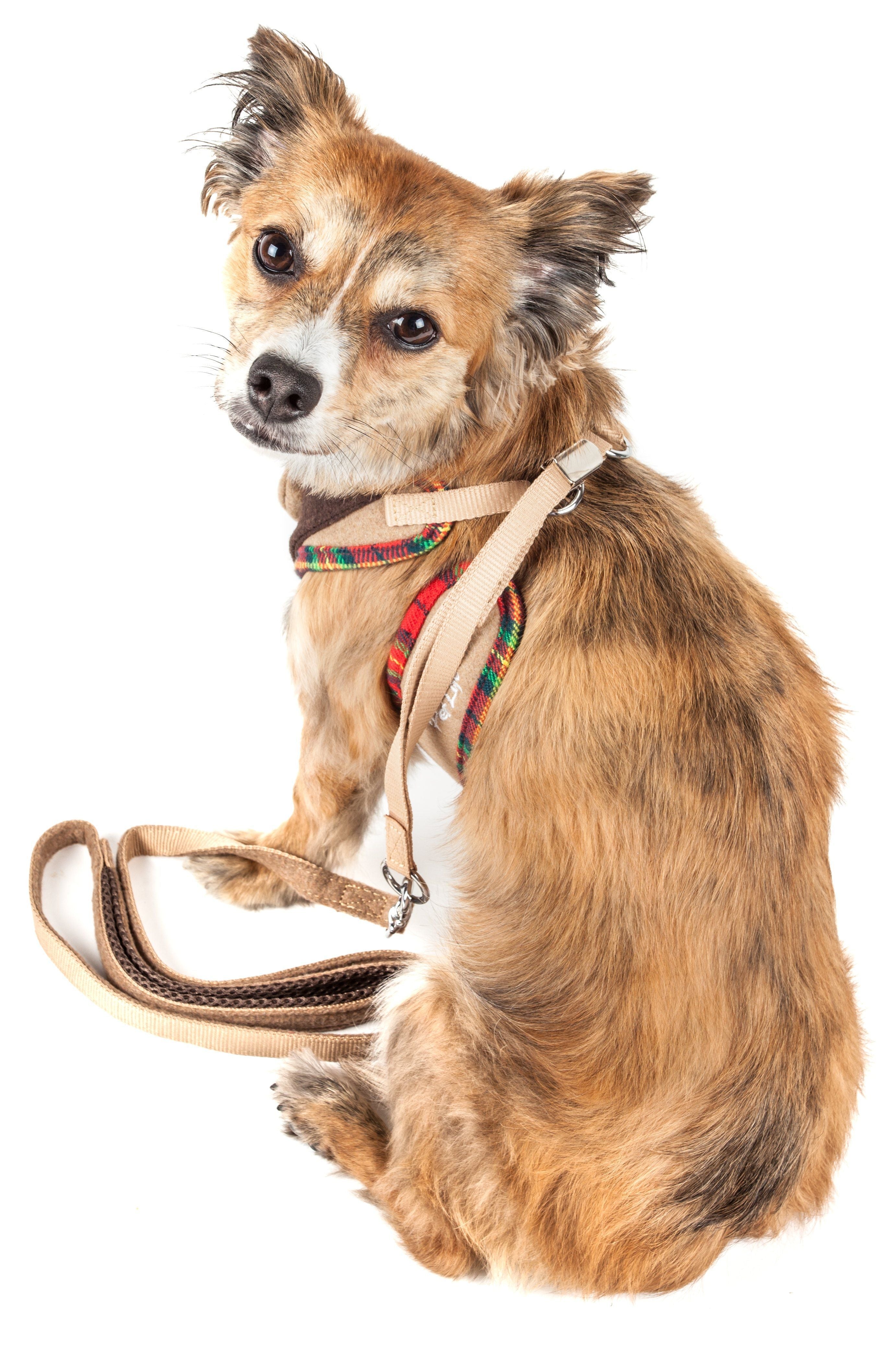 Luxe Dapperbone 2-in-1 Adjustable Fashion Dog Harness and Leash