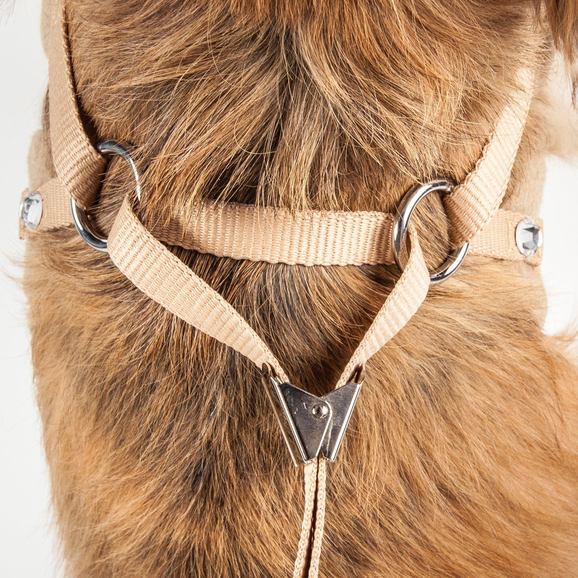Luxe Furracious 2-in-1 Adjustable Dog Harness and Leash with Detachable Fur Collar