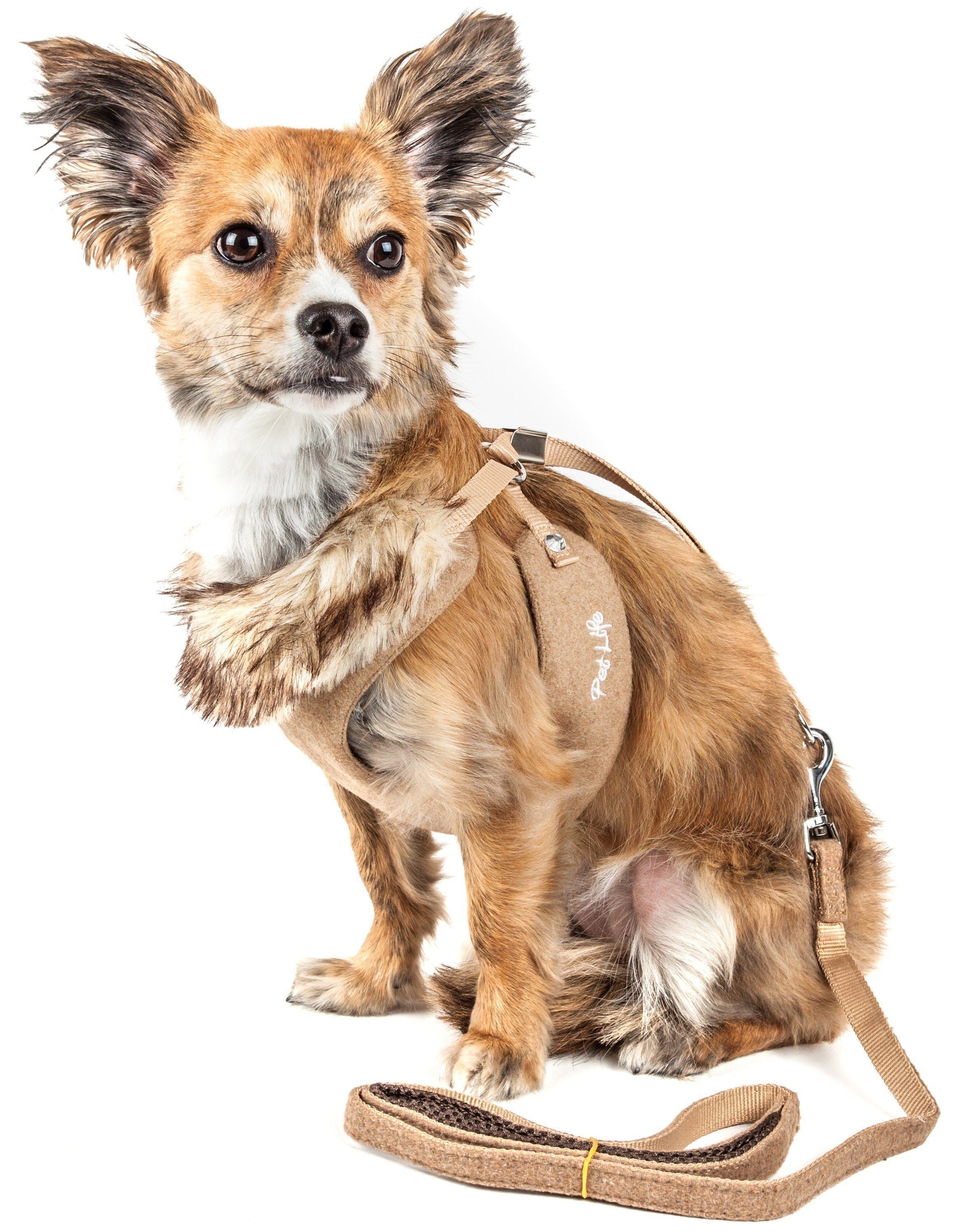 Luxe Furracious 2-in-1 Adjustable Dog Harness and Leash with Detachable Fur Collar