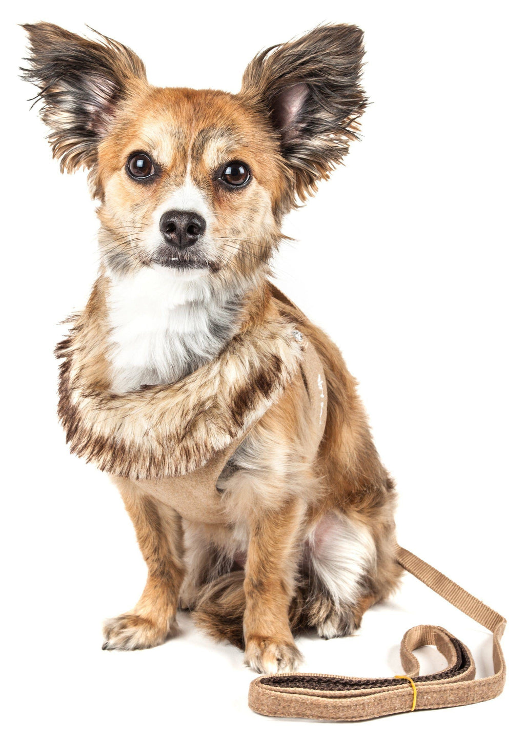 Luxe Furracious 2-in-1 Adjustable Dog Harness and Leash with Detachable Fur Collar