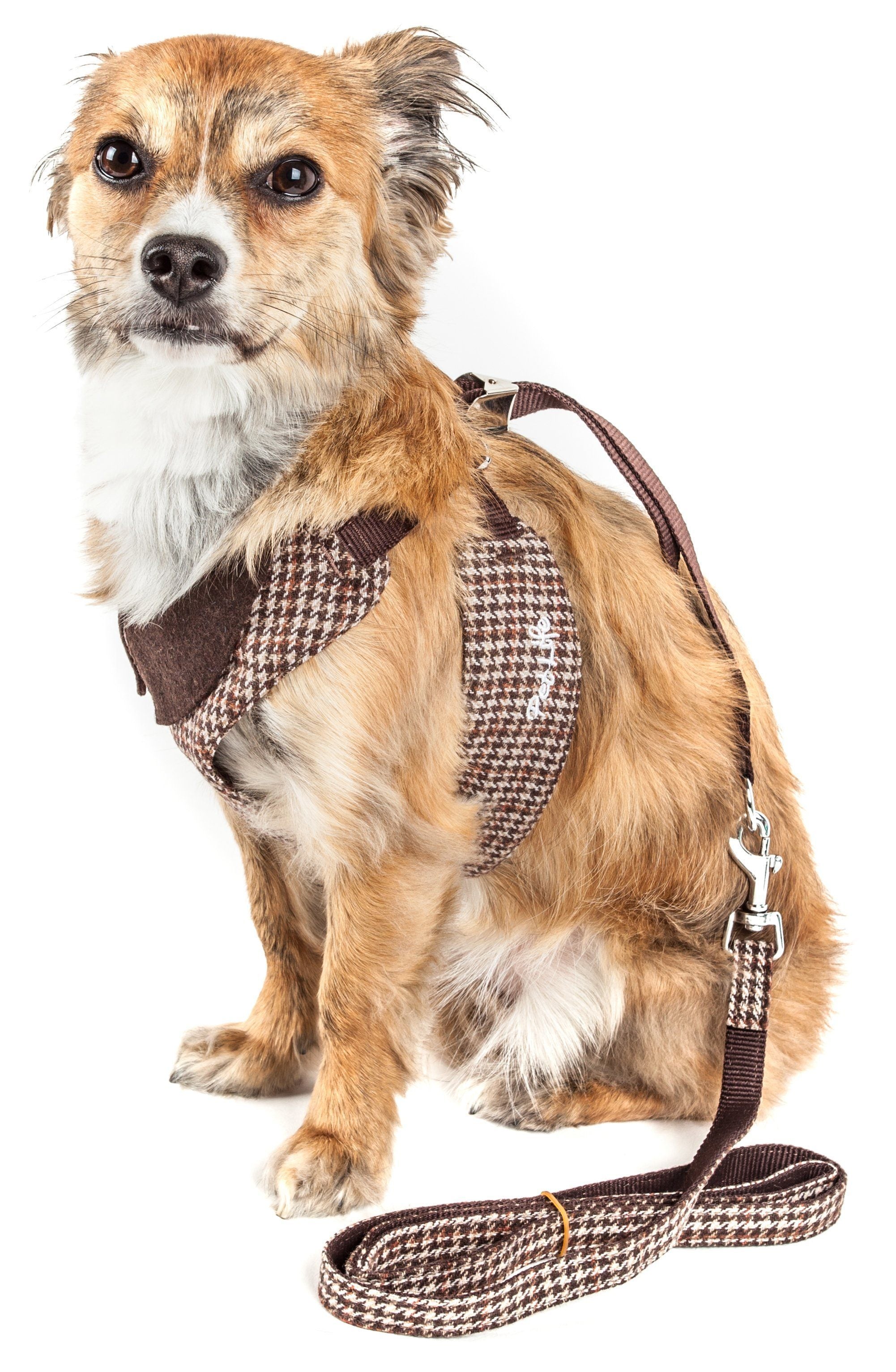 Luxe Houndsome 2-in-1 Adjustable Designer Dog Harness and Leash